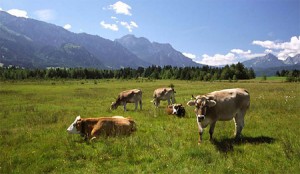 etnopaisaje1 etnopaisaje1