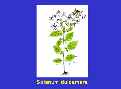 DibujoCCCCC DibujoCCCCC