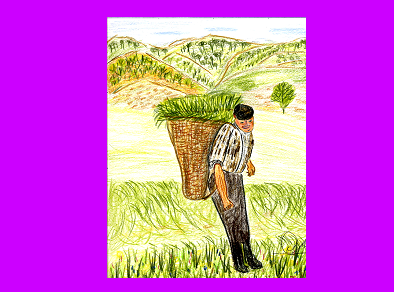 Pastor transportando hierba