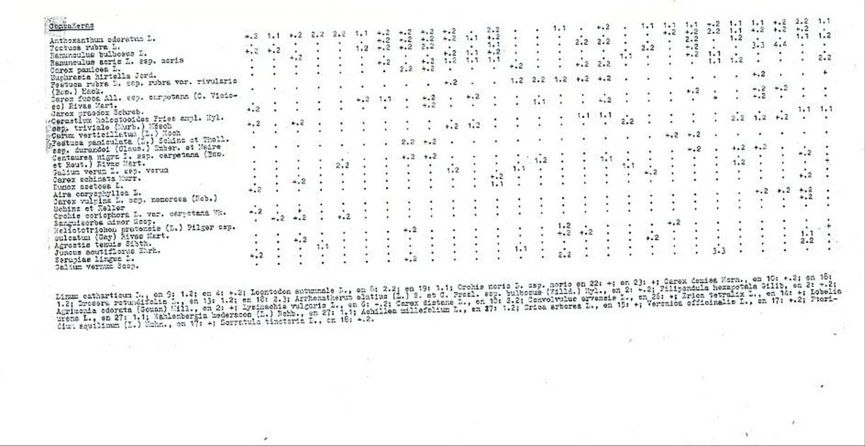 slide0002_image002 slide0002_image002