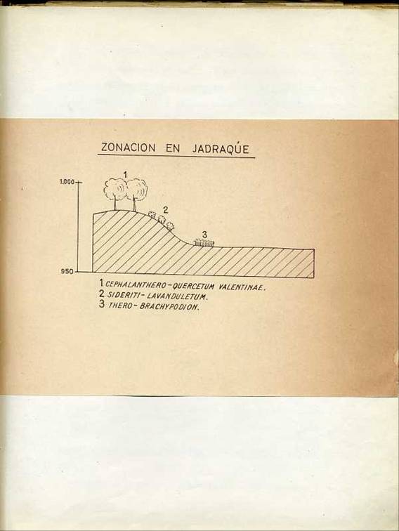 slide0002_image002 slide0002_image002