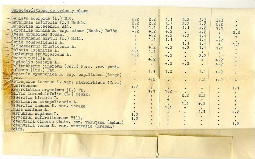 slide0002_image002 slide0002_image002