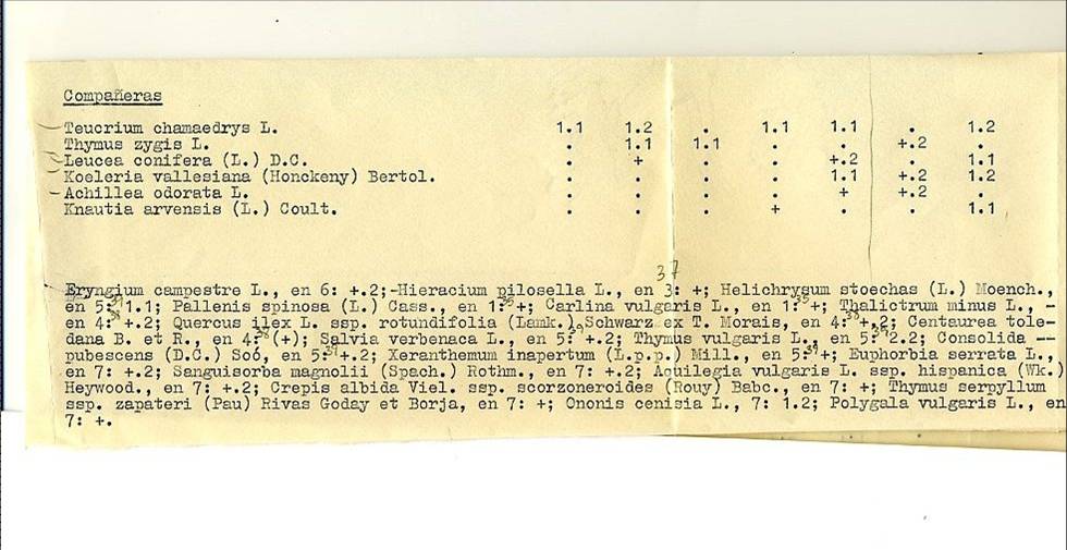 slide0002_image002 slide0002_image002