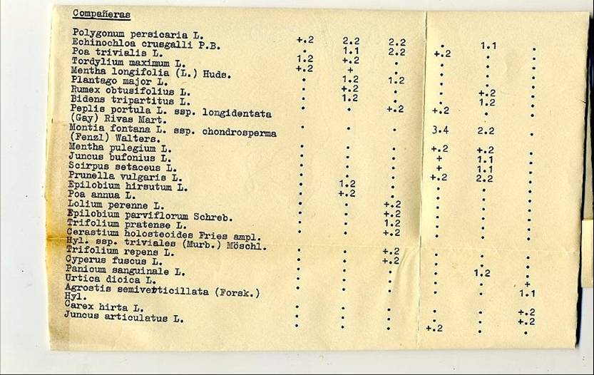 slide0002_image002 slide0002_image002