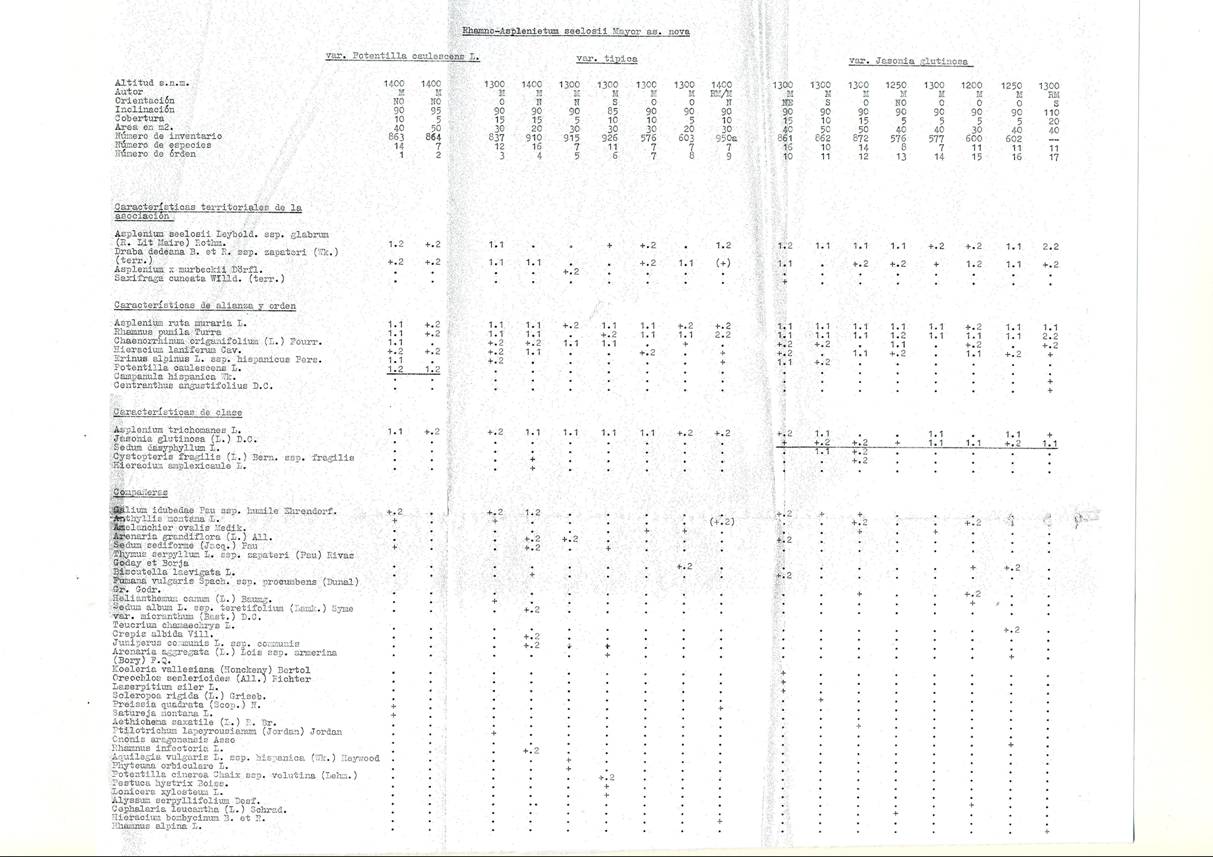 slide0002_image002 slide0002_image002