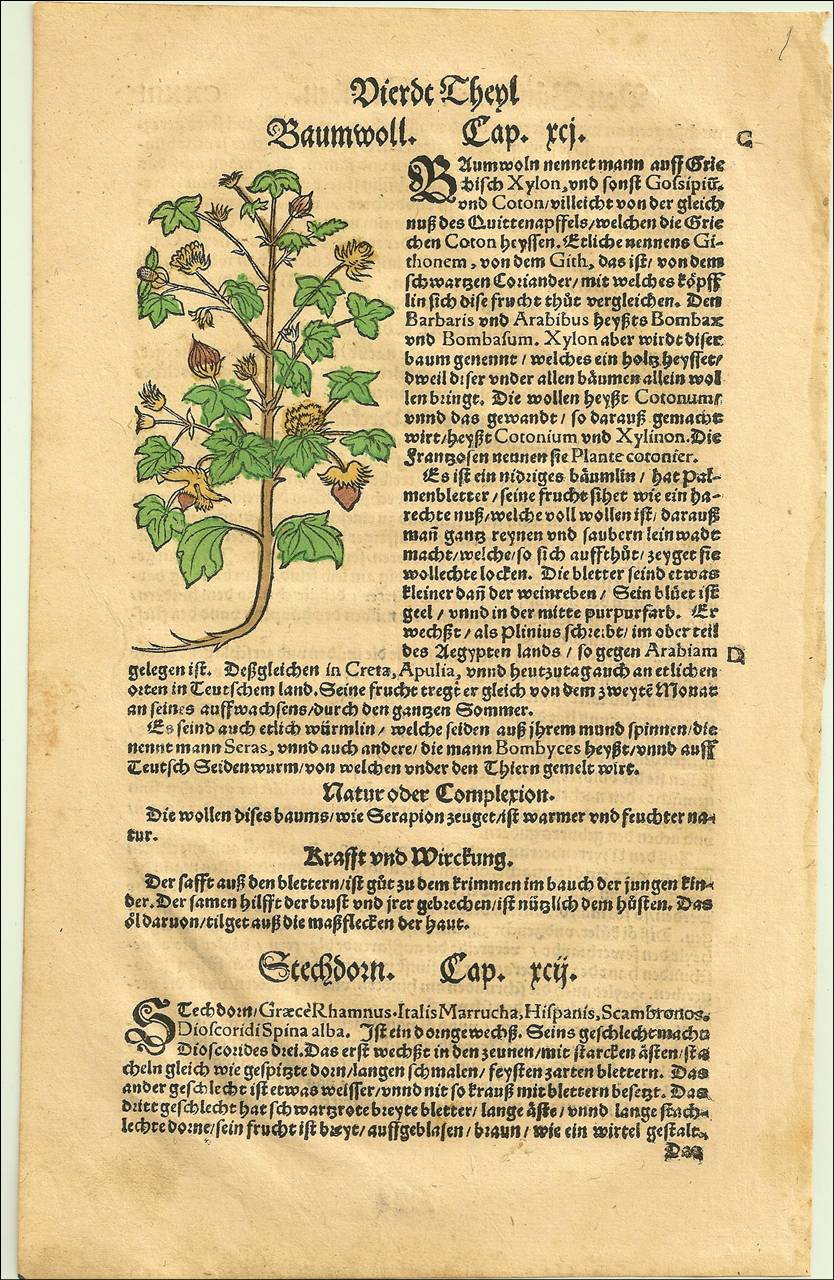 slide0002_image002 slide0002_image002