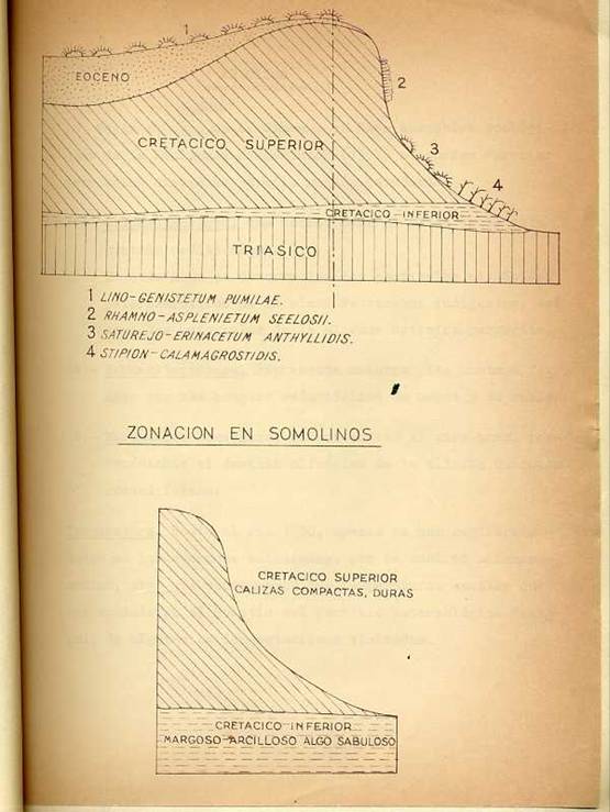 slide0002_image002 slide0002_image002