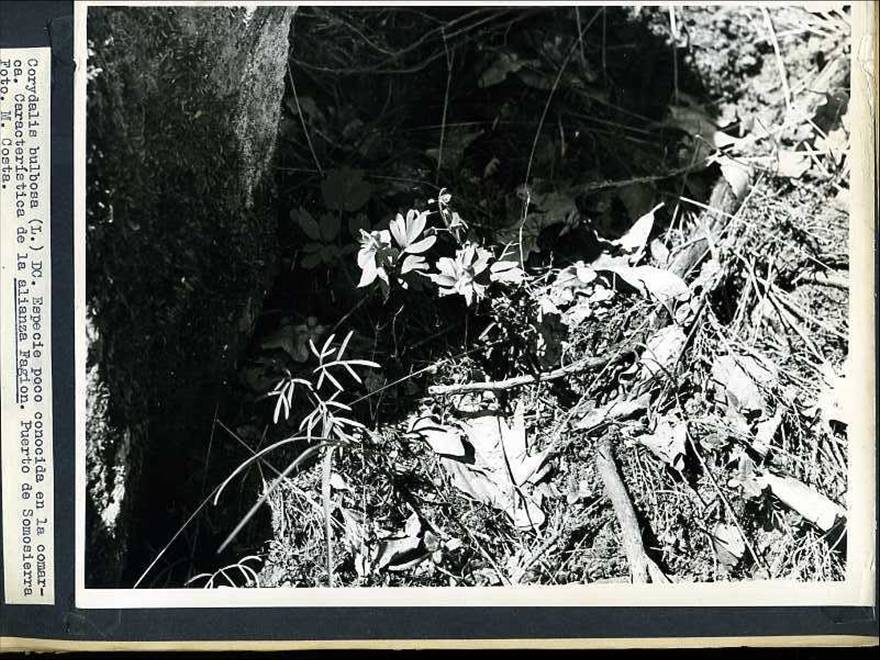 slide0002_image002 slide0002_image002