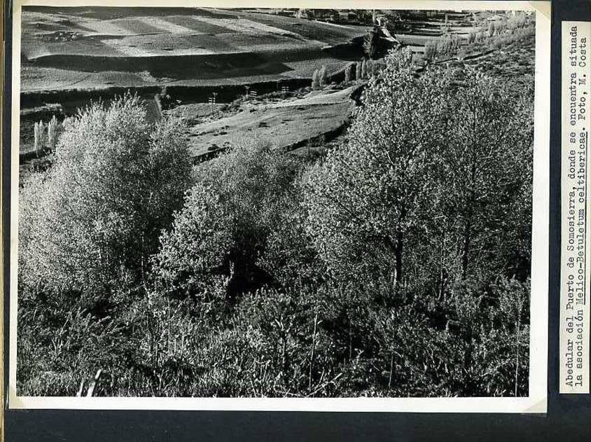 slide0002_image002 slide0002_image002