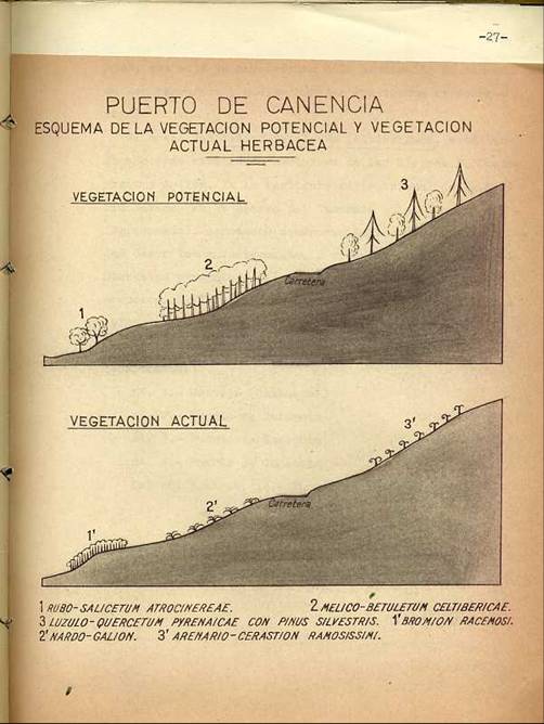 slide0002_image002 slide0002_image002