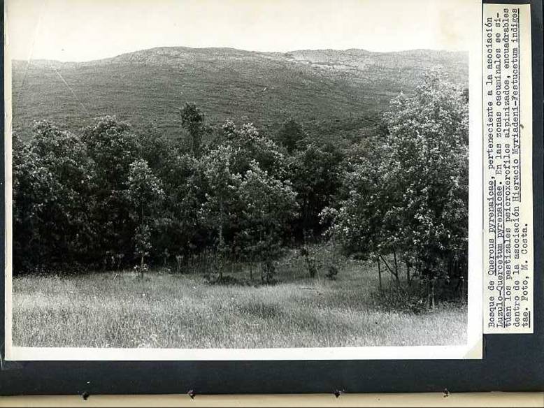 slide0002_image002 slide0002_image002