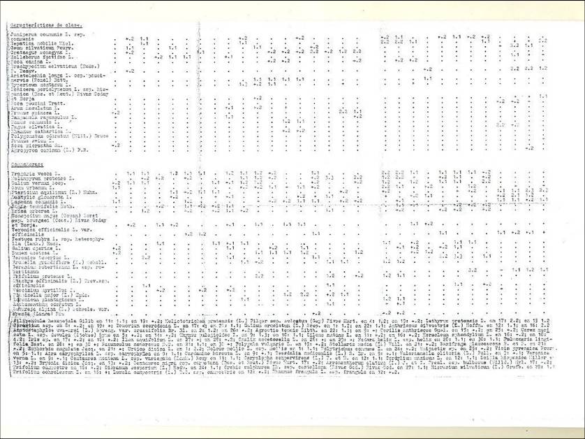 slide0002_image002 slide0002_image002