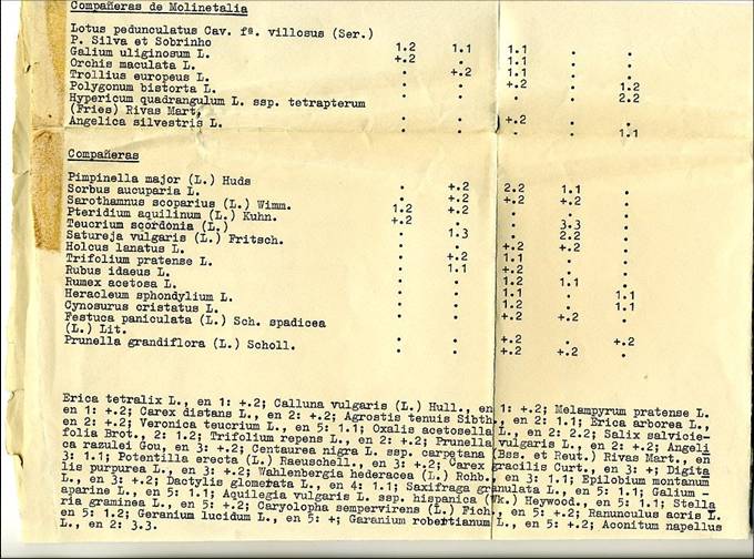 slide0002_image002 slide0002_image002