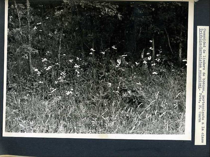 slide0002_image002 slide0002_image002