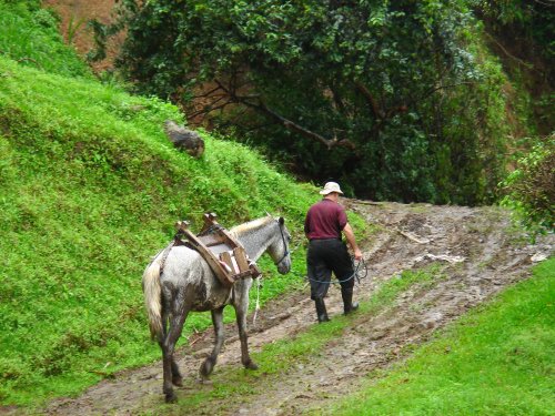 Utilización del caballo en el medio rural tradicional 