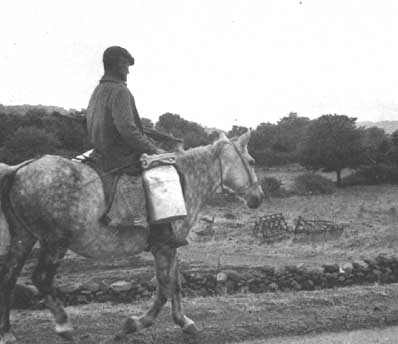 Pastor trasportando leche