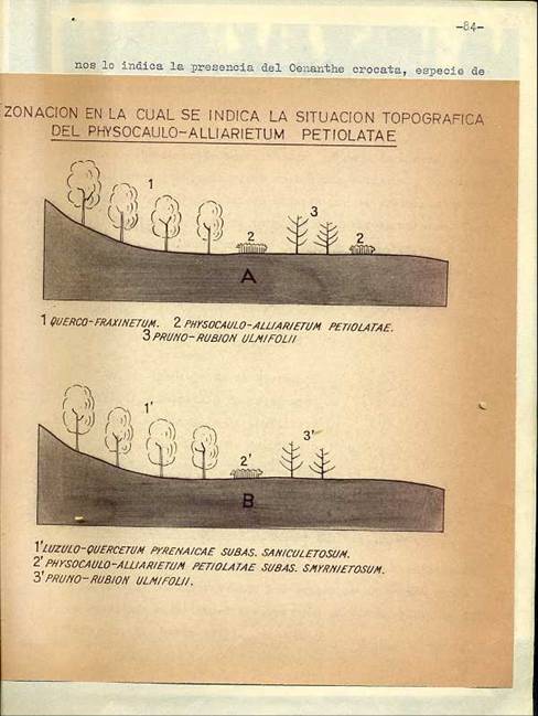 slide0002_image002 slide0002_image002