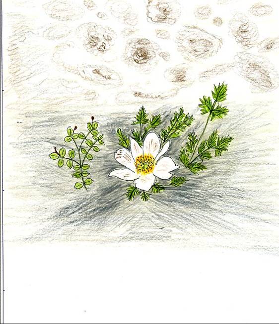 slide0002_image002 slide0002_image002