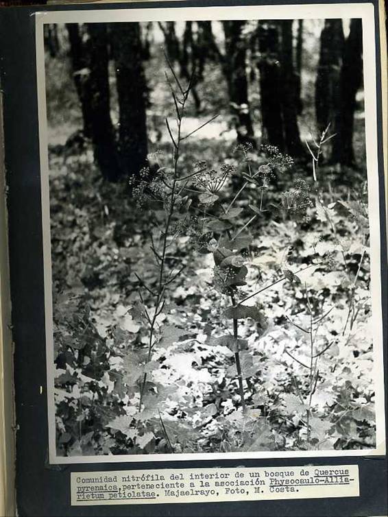 slide0002_image002 slide0002_image002