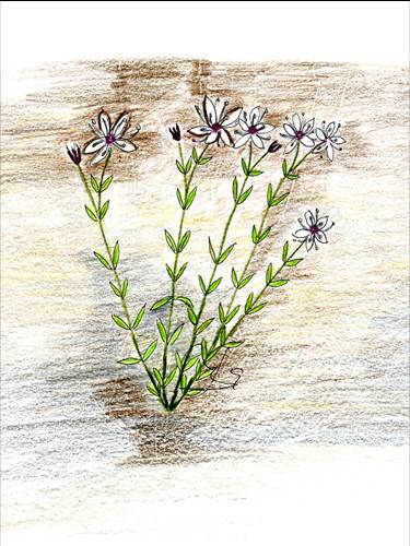 slide0002_image002 slide0002_image002