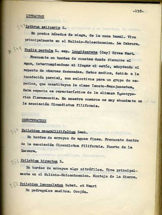 slide0002_image002 slide0002_image002