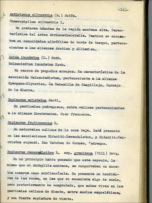 slide0002_image002 slide0002_image002