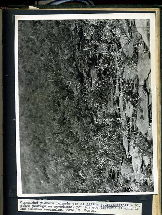 slide0002_image002 slide0002_image002