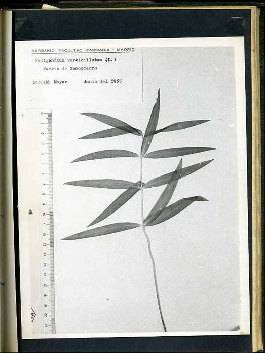 slide0002_image002 slide0002_image002