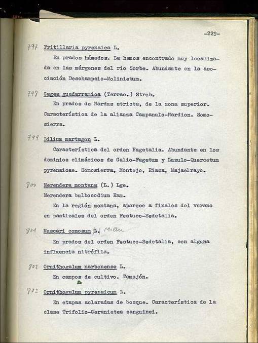 slide0002_image002 slide0002_image002