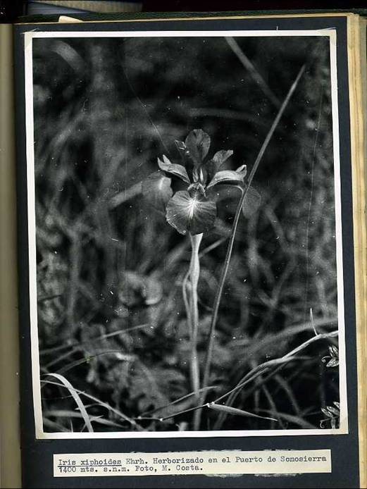 slide0002_image002 slide0002_image002