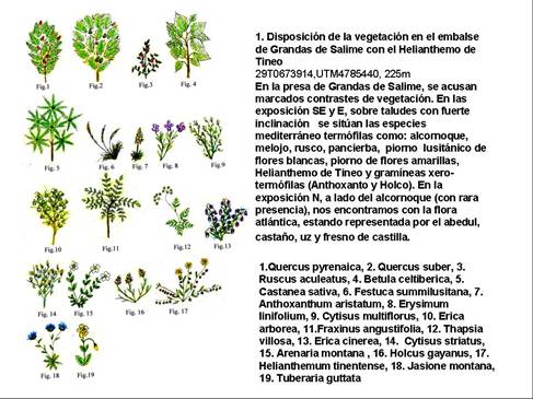 slide0002_image002 slide0002_image002