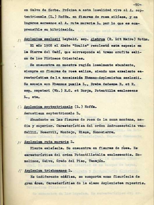 slide0002_image002 slide0002_image002