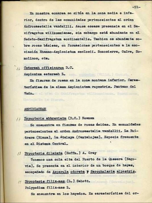 slide0002_image002 slide0002_image002