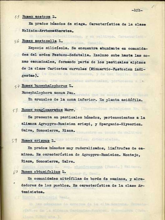 slide0002_image002 slide0002_image002