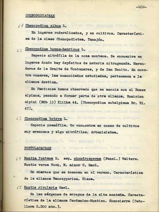 slide0002_image002 slide0002_image002