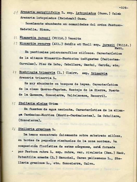 slide0002_image002 slide0002_image002