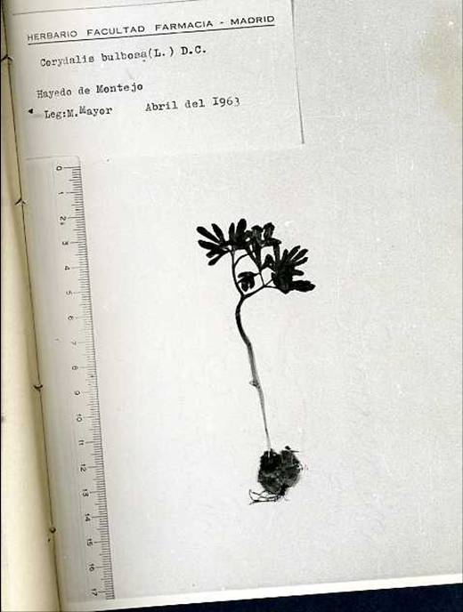 slide0002_image002 slide0002_image002