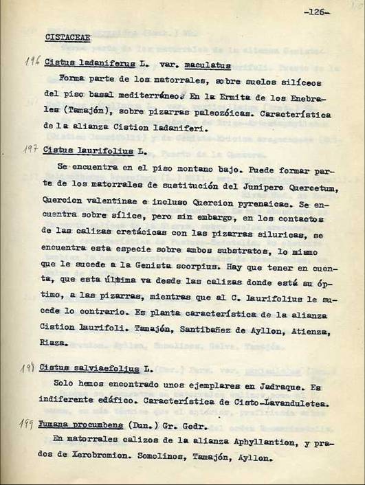 slide0002_image002 slide0002_image002