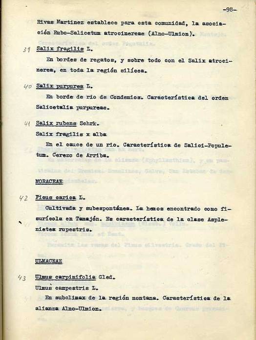 slide0002_image003 slide0002_image003