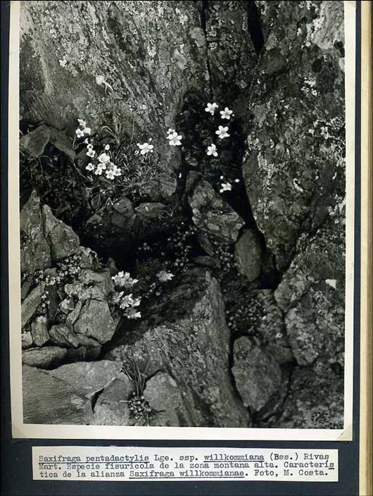 slide0002_image003 slide0002_image003