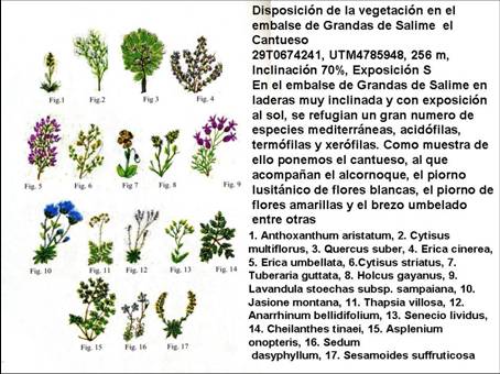 slide0003_image002 slide0003_image002