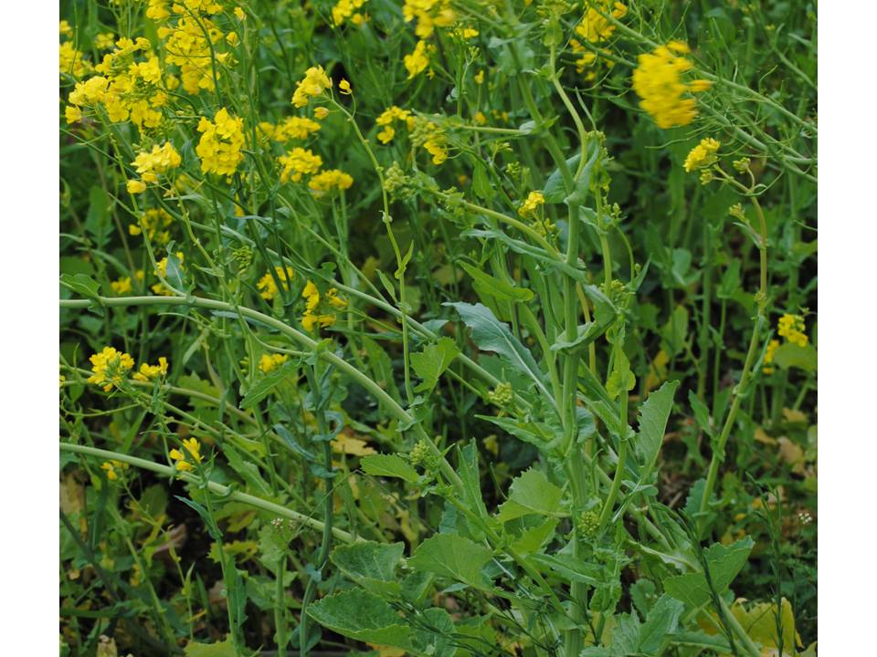 Presentación1 Presentación1