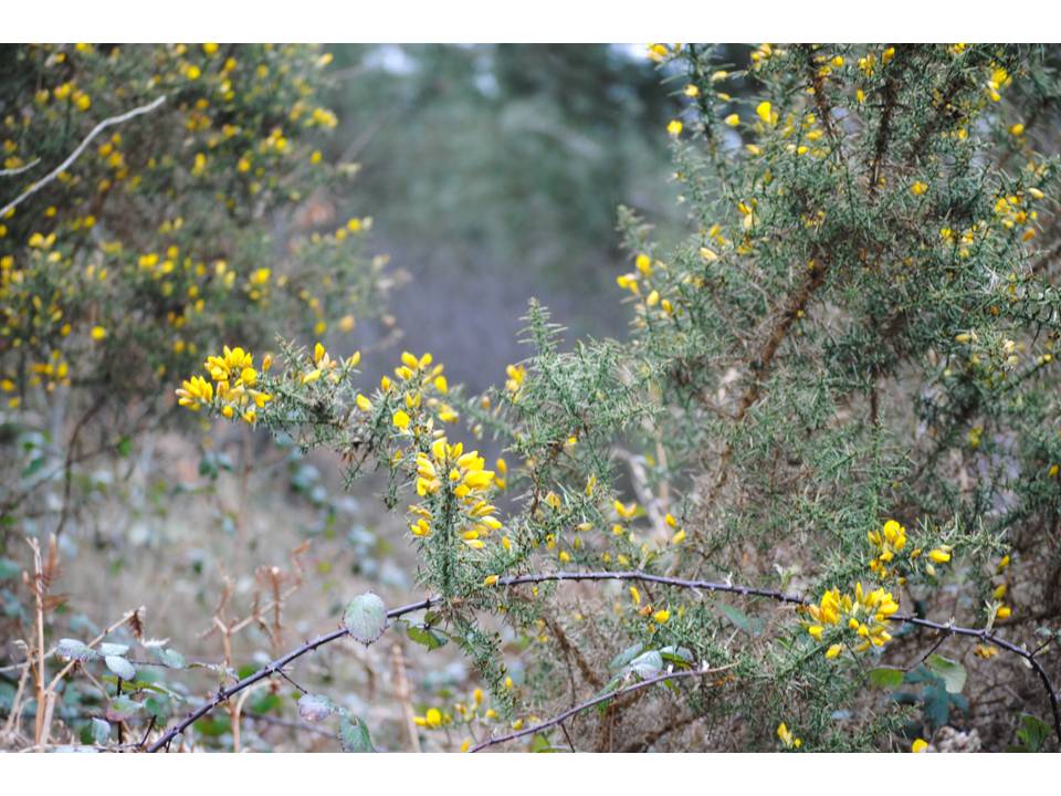 Presentación10 Presentación10