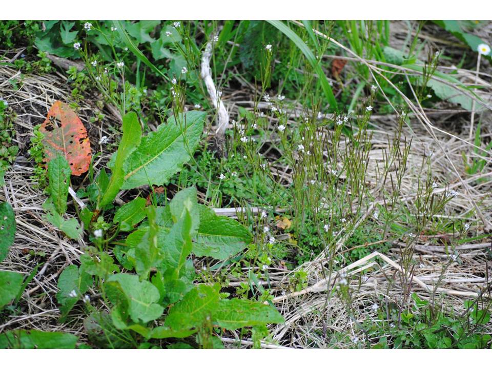 Presentación13 Presentación13