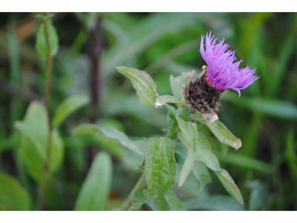 Presentación14 Presentación14