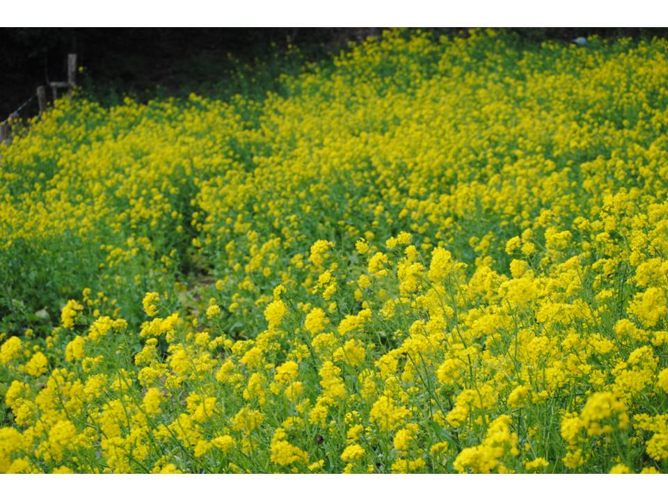 Presentación2 Presentación2