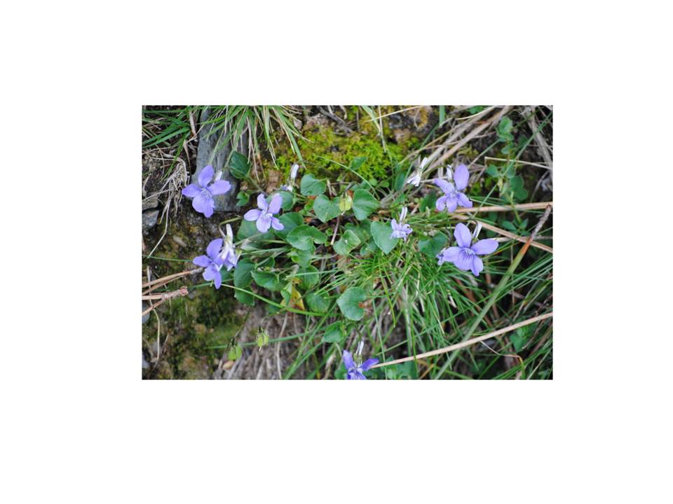 Presentación3 Presentación3