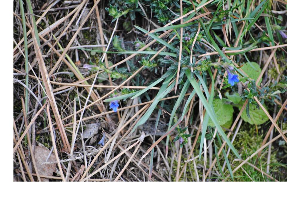 Presentación3 Presentación3