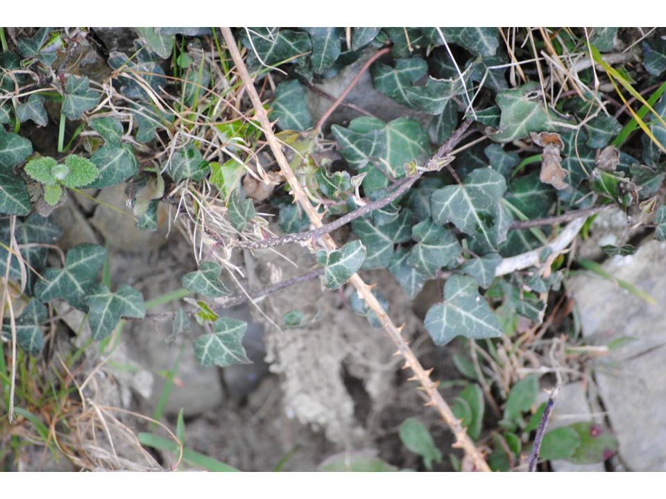 Presentación3 Presentación3