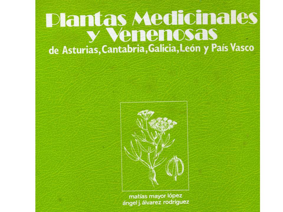 Presentación3 Presentación3